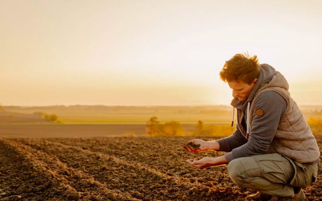 Biosoil Improvers: il 18 dicembre workshop presso l’UniTus