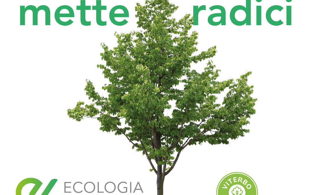 La sostenibilità mette radici